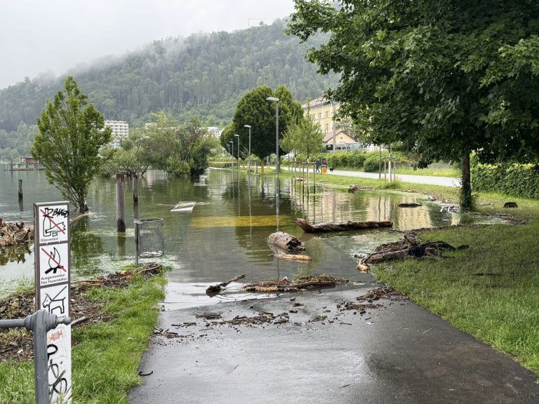 Bodensee Hochwasser Hafen und Wocherhafen