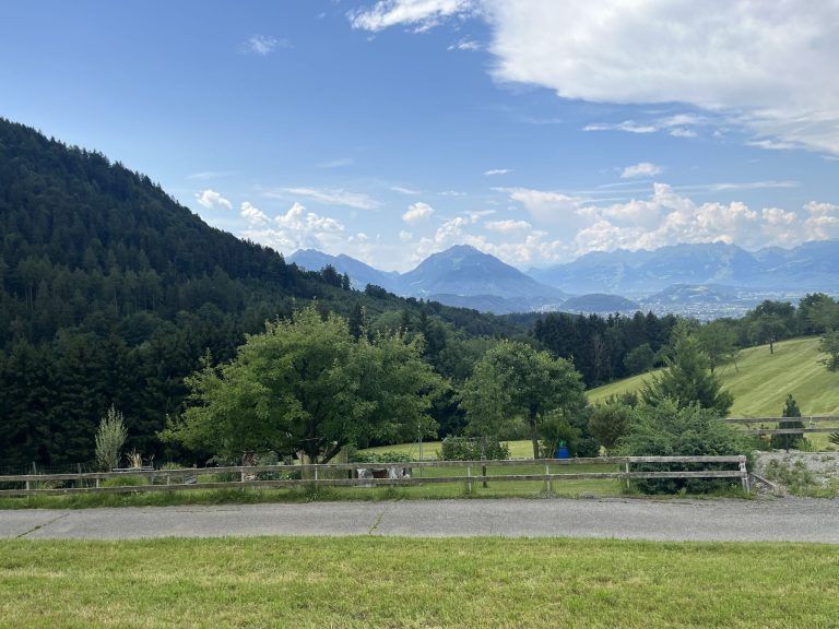 Kirschernte in Fraxern 2025