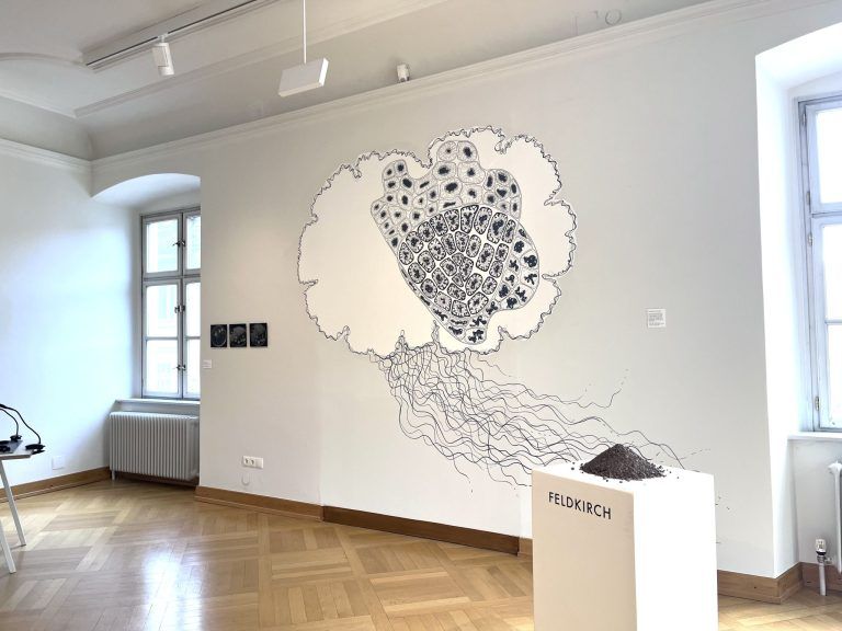 „Erdungen“, neue Kunstausstellung im Palais Liechtenstein, Kuratorin Bianca Maria Rovetta
