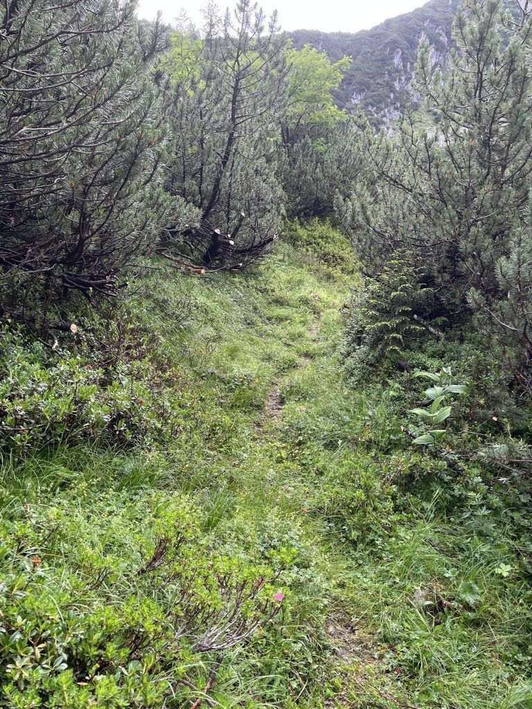 Alpenverein Bludenz-Bürs, Gavalinaweg, Instandsetzung, Wegewarte, Wegebautrupp
