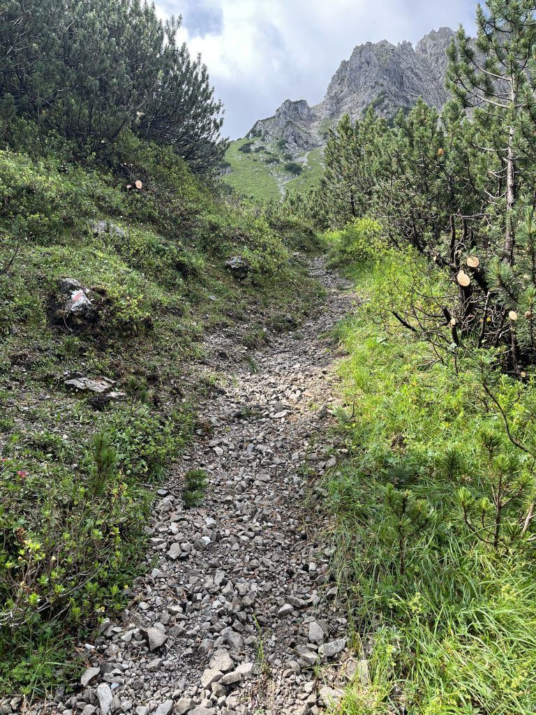 Alpenverein Bludenz-Bürs, Gavalinaweg, Instandsetzung, Wegewarte, Wegebautrupp