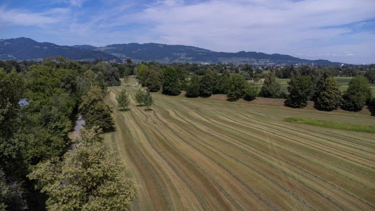 Von idyllischer Ruhe zum Hotspot für Festivalfans