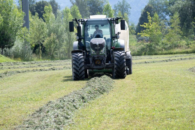 Von idyllischer Ruhe zum Hotspot für Festivalfans