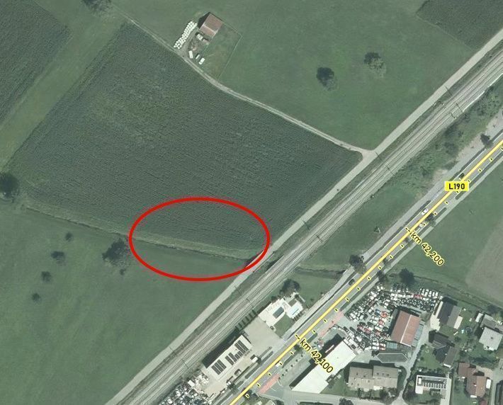 Sexueller Übergriff auf Frau im Maisfeld, doch Polizei entwarnt: &#8220;Keine Angst vor Triebtäter&#8221;