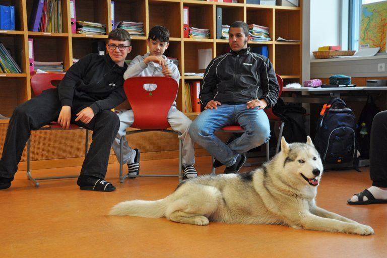 Fellnase mit Lehrauftrag: Therapiehund Lotus ist extra für den Schuleinsatz geschult.
