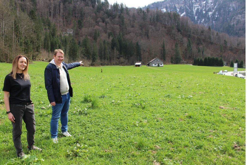 Briganto denkt auch an die Wälderhalle