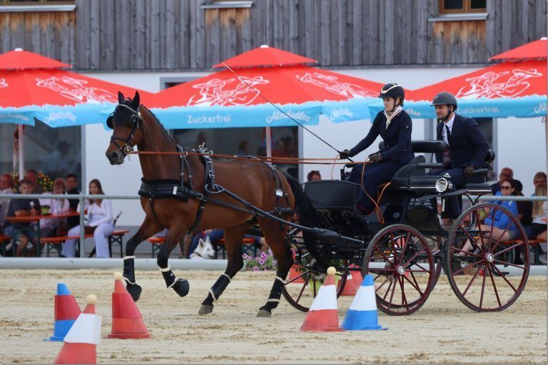 Reitsportwochenende überzeugt mit Qualität und Vielfalt: Foto: VN-TK Stephanie Kirchmann aus Langen bot auch eine starke Leistung.