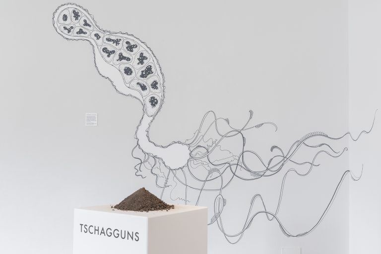 "Erdungen", Neue Kunstausstellung im Palais Liechtenstein