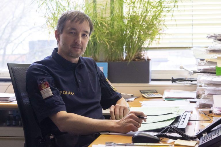 Warum Welse den Alten Rhein lieben