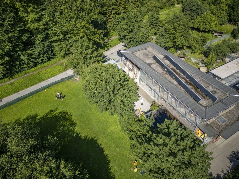 Wende beim Projekt Wildtierstation: "Es grenzt an ein Wunder"