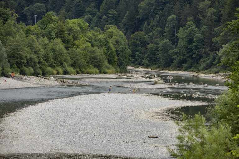 Rekordtemperaturen und wenig Wasser: Vorarlbergs Bäche und Seen im Trockenstress