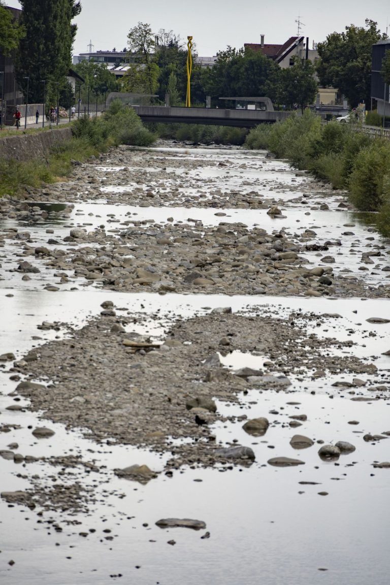 Rekordtemperaturen und wenig Wasser: Vorarlbergs Bäche und Seen im Trockenstress