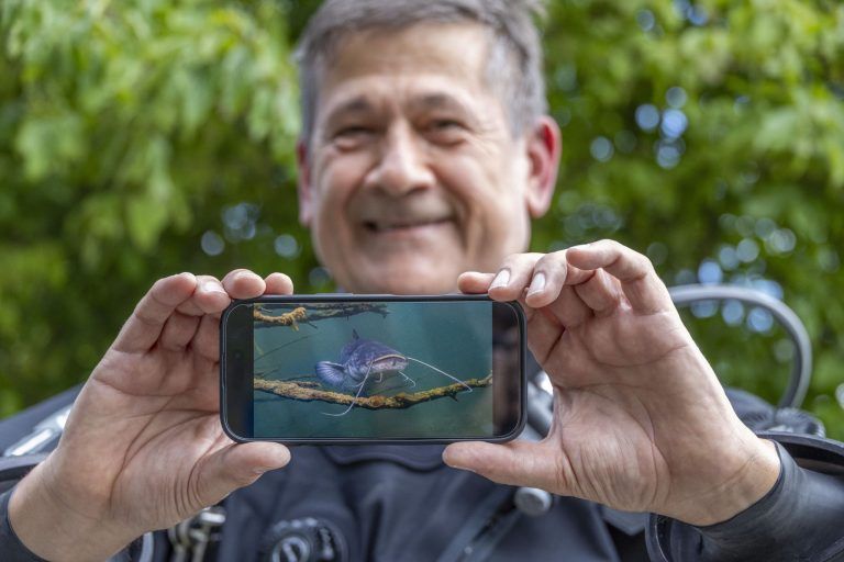 Spektakuläre Unterwasserfotos aus dem Alten Rhein: "Mit dem Zander hätte ich mehr Bedenken"