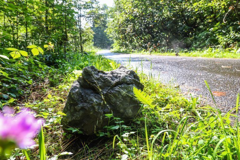 radweg umleitung schnepfau