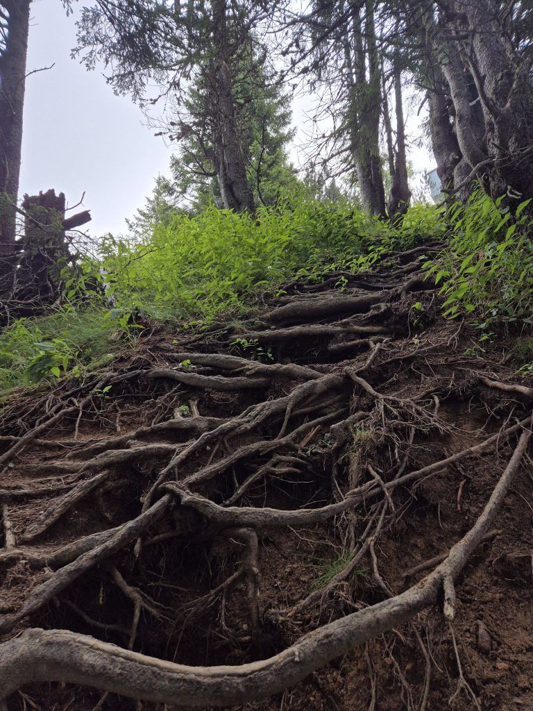 Wanderserie, Glattmar, Großes Walsertal