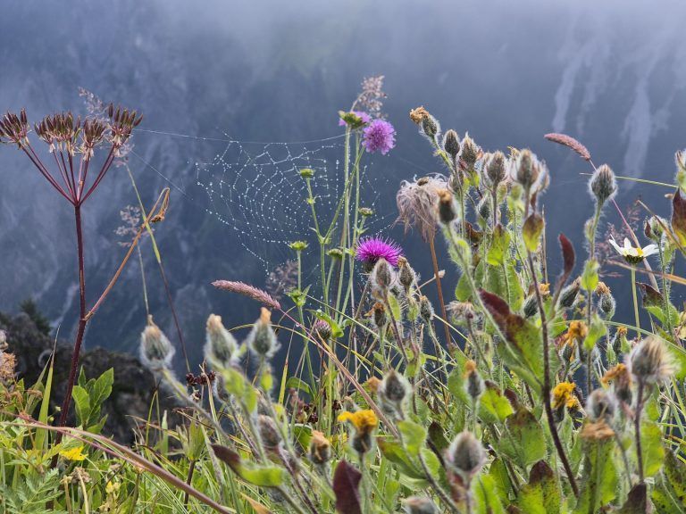 Wanderserie, Glattmar, Großes Walsertal