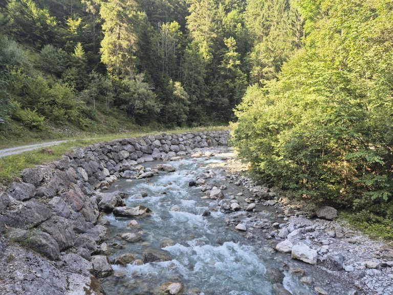 Lutzschwefelbad, Verein "Wassertal", Buchboden