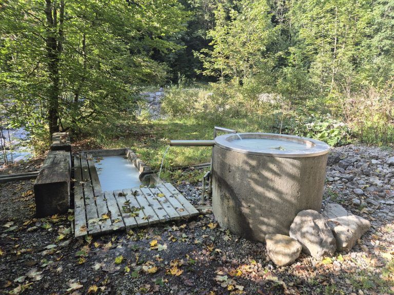 Lutzschwefelbad, Verein "Wassertal", Buchboden