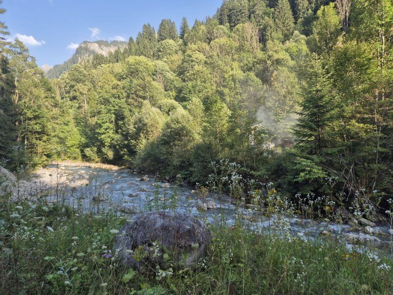 Lutzschwefelbad, Verein "Wassertal", Buchboden