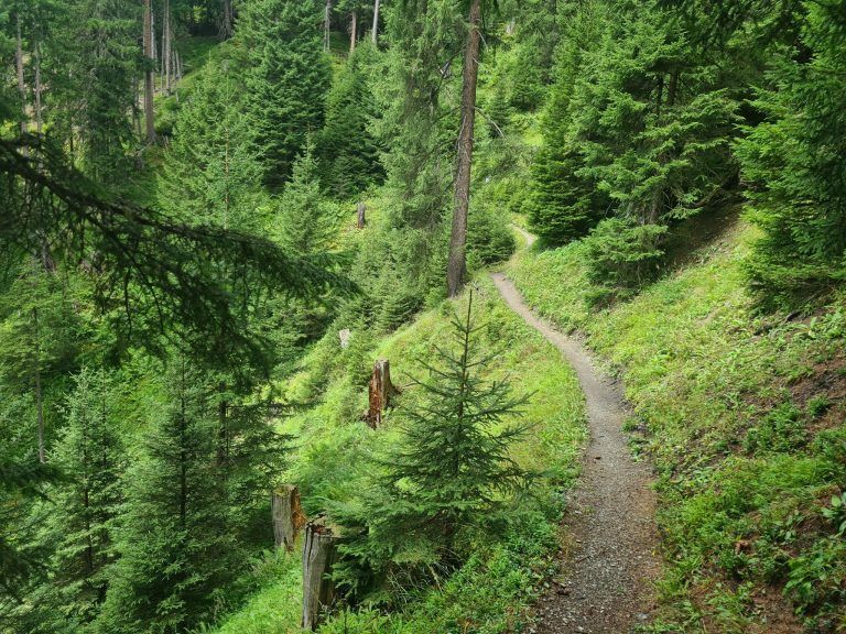 Alpe Rongg