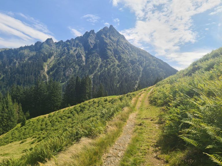 Alpe Rongg