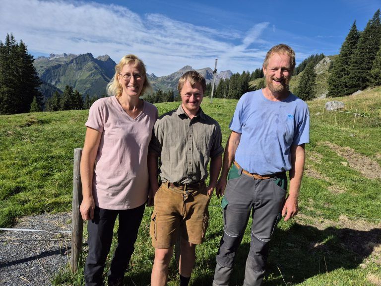 Alpe Fahren Ziersch