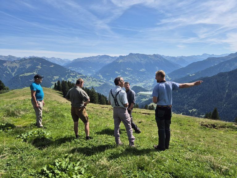 Alpe Fahren Ziersch