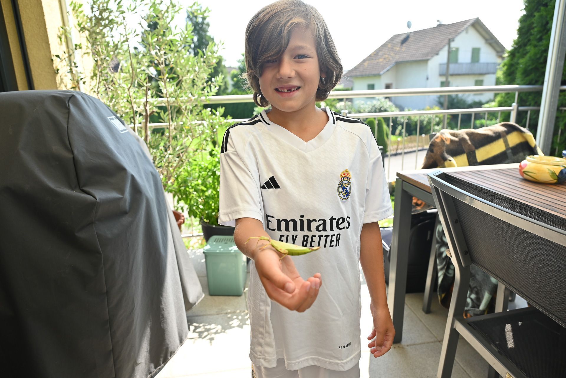 Jonah (8) aus Lustenau ist stolzer Besitzer von einigen Wandelnden Blättern, eine Insektenart aus Südostasien.