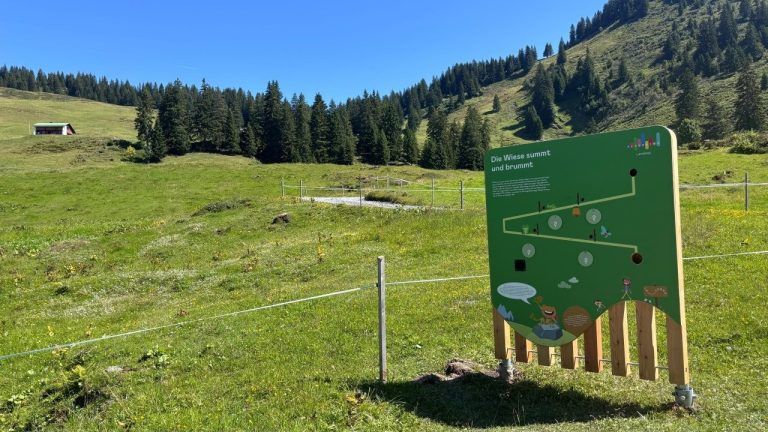 Neues Familienangebot in Laterns soll überzeugen: Die Skilifte Laterns bieten auch im Sommer einiges.