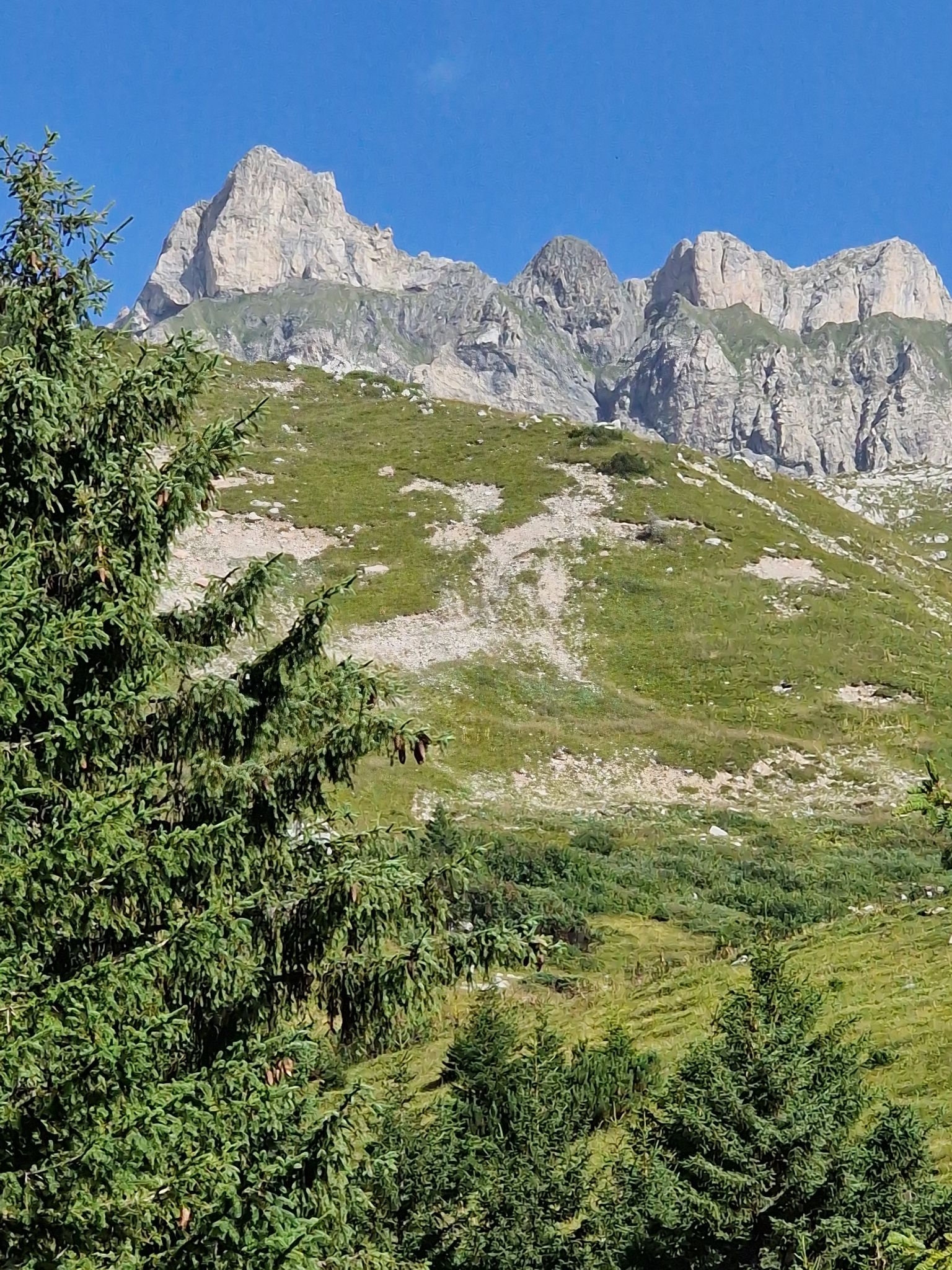 Zahlreiche Besucher nutzten den Feiertag für einen Ausflug auf die Alpe Formarin (Bildergalerie)