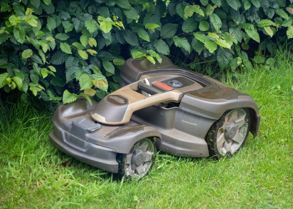 Gefahr für Igel, Spitzmaus und Co: Die Schattenseite von Mährobotern