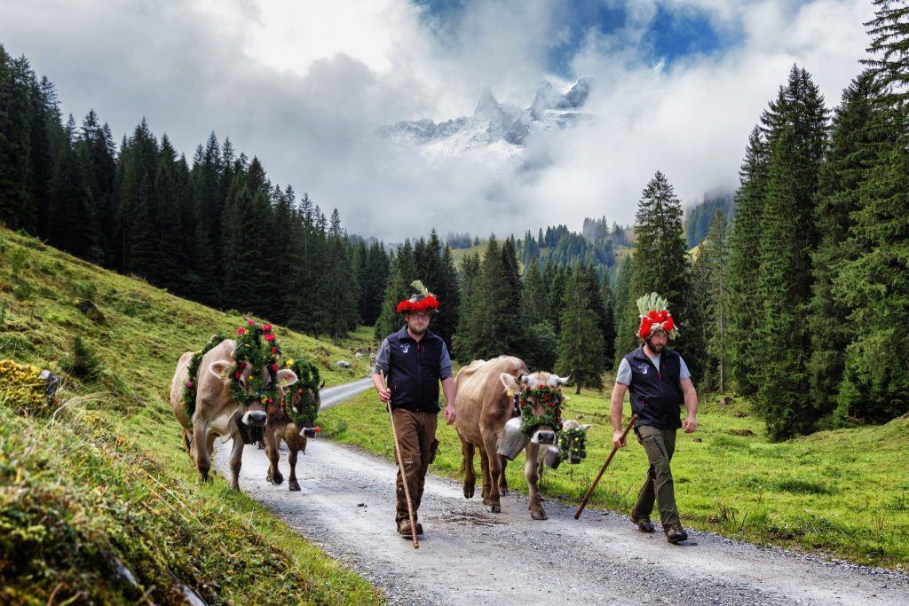 Abschluss des Alpsommers im Montafon