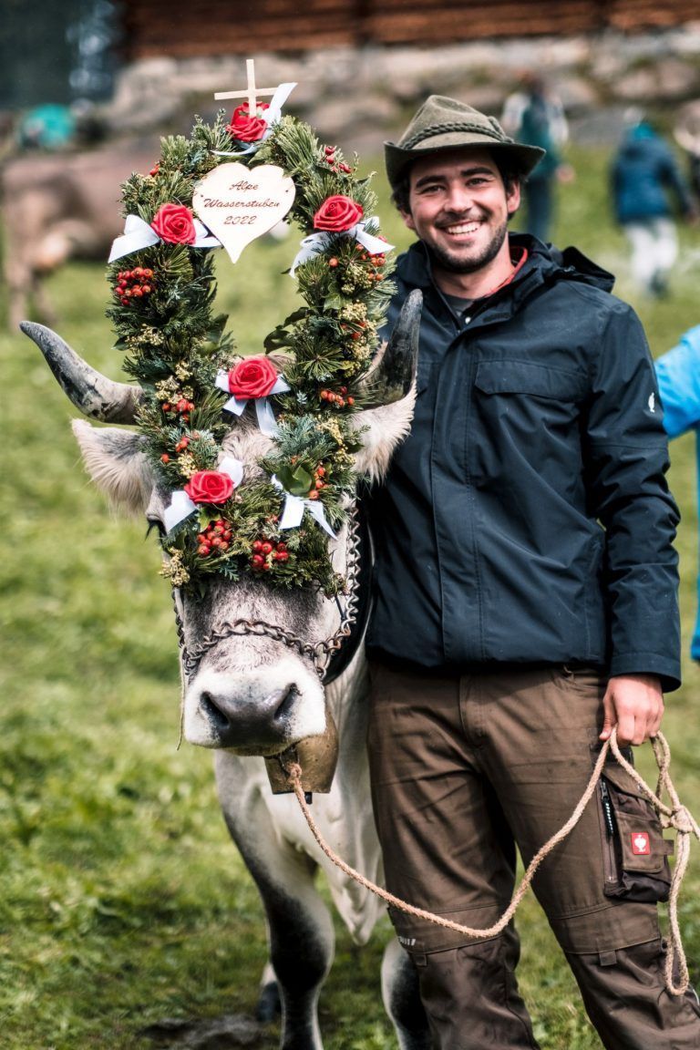 Alpabtrieb Montafon