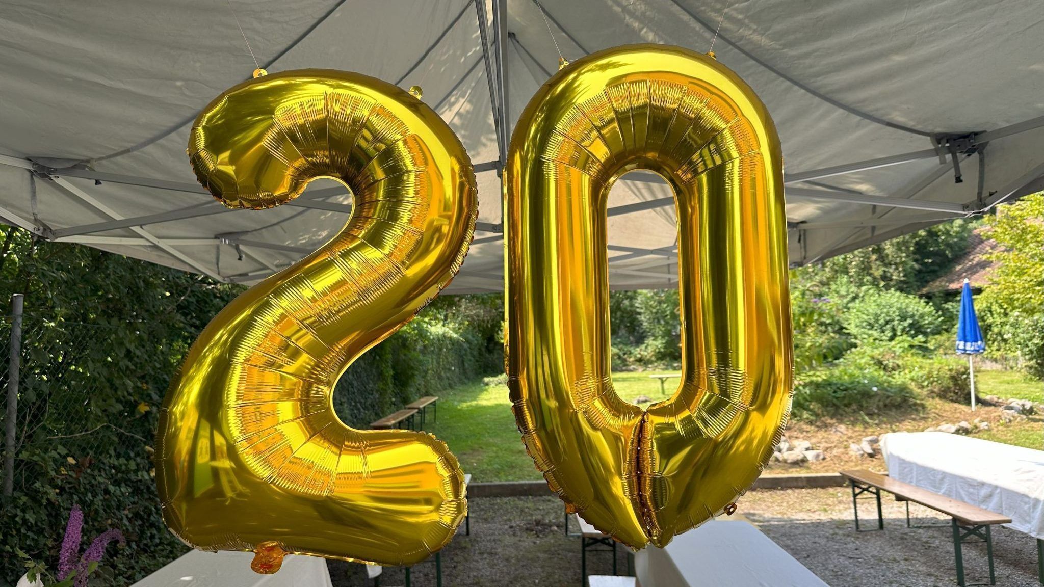 20 Jahre SOS-Kinderdorf Wohngruppe in Dornbirn - und der Bedarf steigt