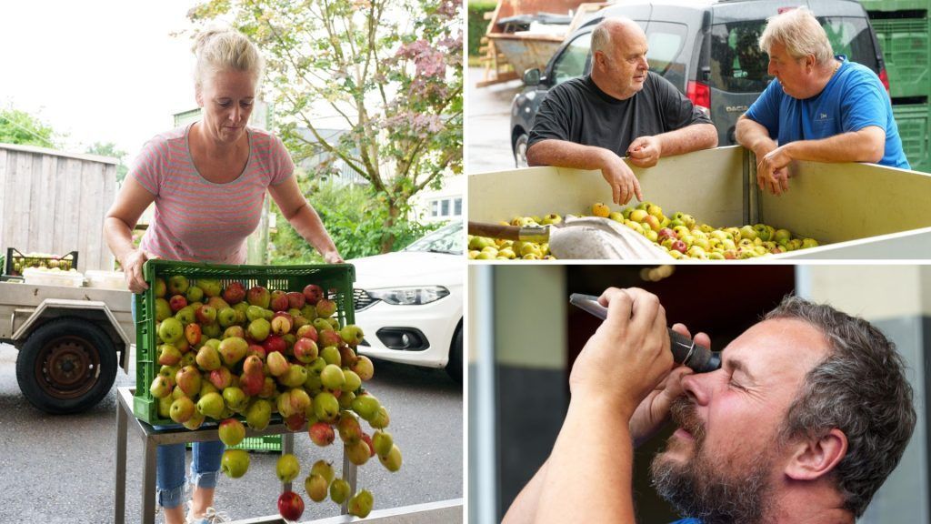 Die Mostsaison ist eröffnet: &#8220;Das Obst ist heuer schon sehr weit&#8221;