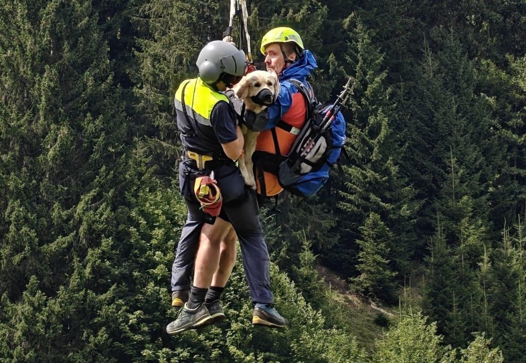 Hündin nach Sturz in Tobel mit Hubschrauber geborgen