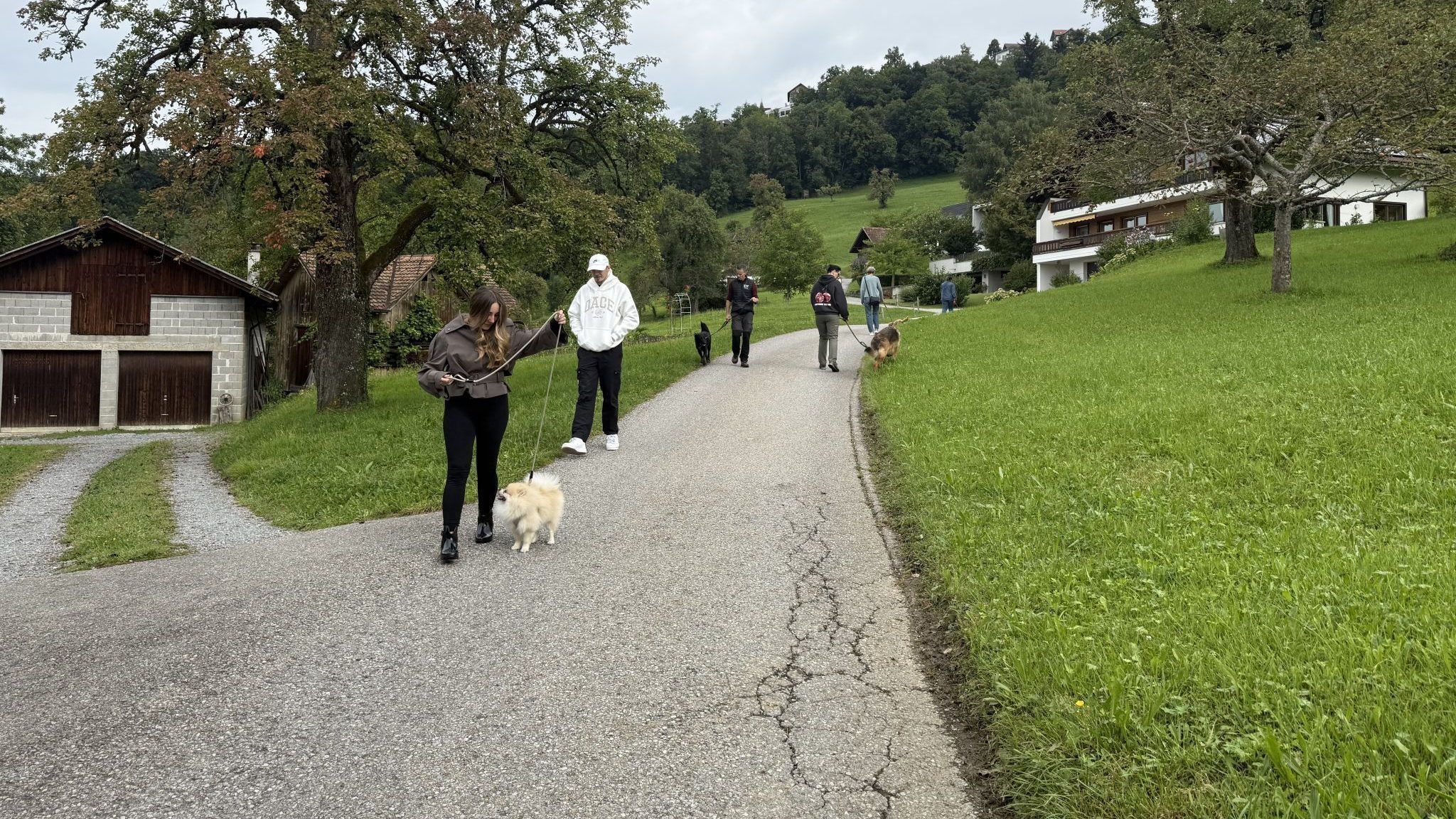 „Ein verpflichtender Kurs für alle Hundehalter“ - das kommt 2026