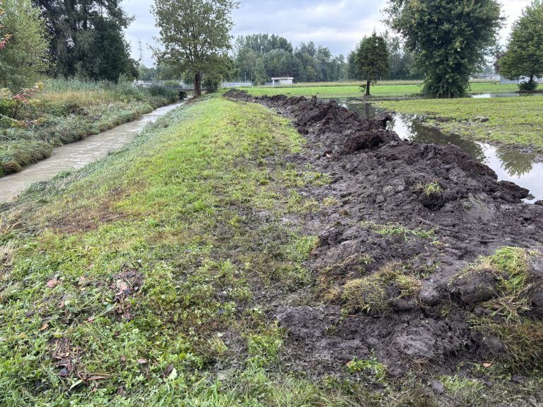 "Ich hoffe, sie glauben es uns jetzt" – In Dornbirn überraschte nicht jedes Hochwasser