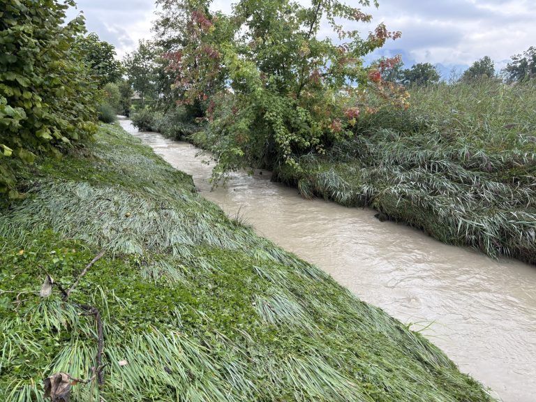 "Ich hoffe, sie glauben es uns jetzt" – In Dornbirn überraschte nicht jedes Hochwasser