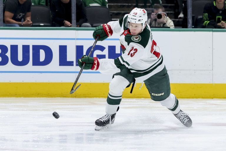 Wild Stars Hockey