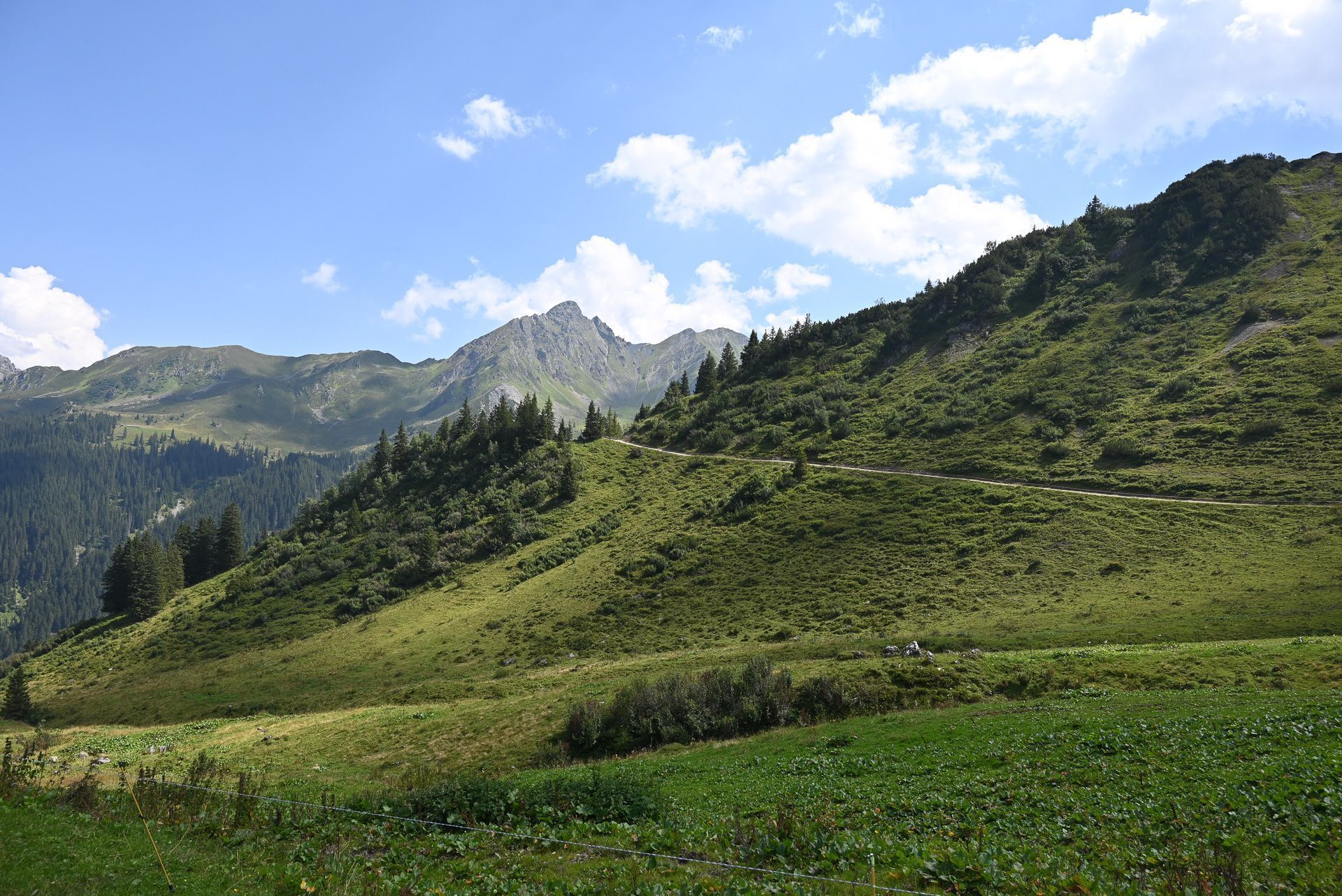 Das Bergpanorama bei der Alpe Oberlatschätz ist überwältigend.