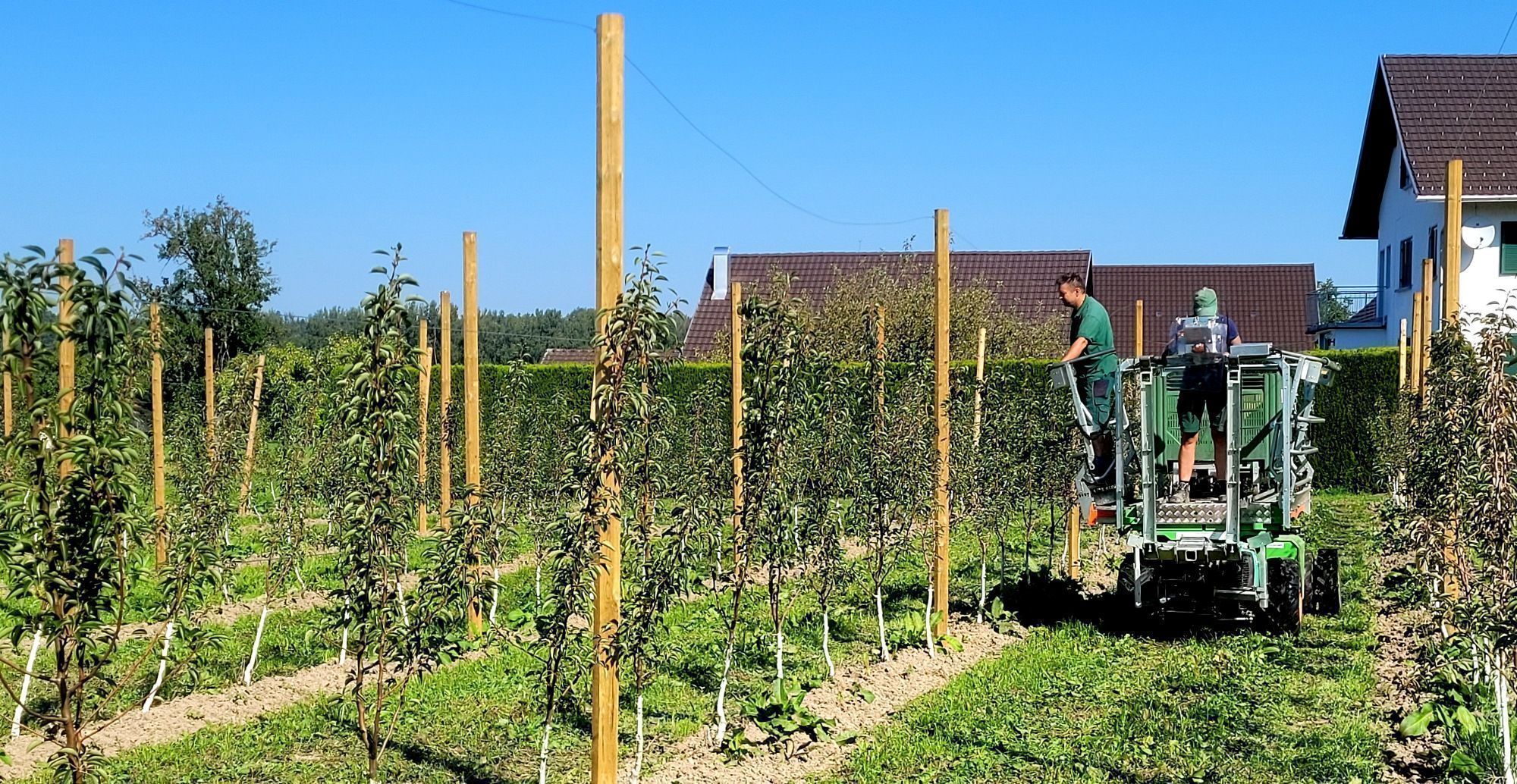 Nachhaltigkeit und Innovation, biologischer und vor allem qualitativ hochwertiger Anbau, das sind die Leitsätze nach denen die neuen Obstquartiere angelegt und bewirtschaftet werden.