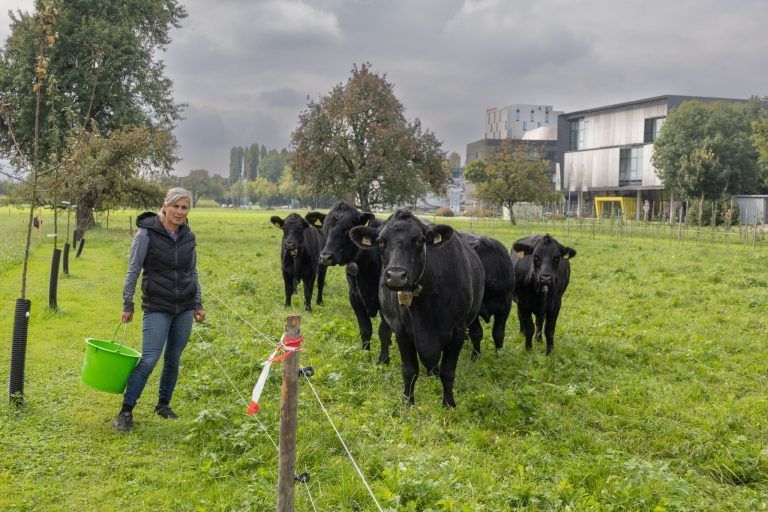 Wo die Bagger ein Stück Kultur aufbereiten