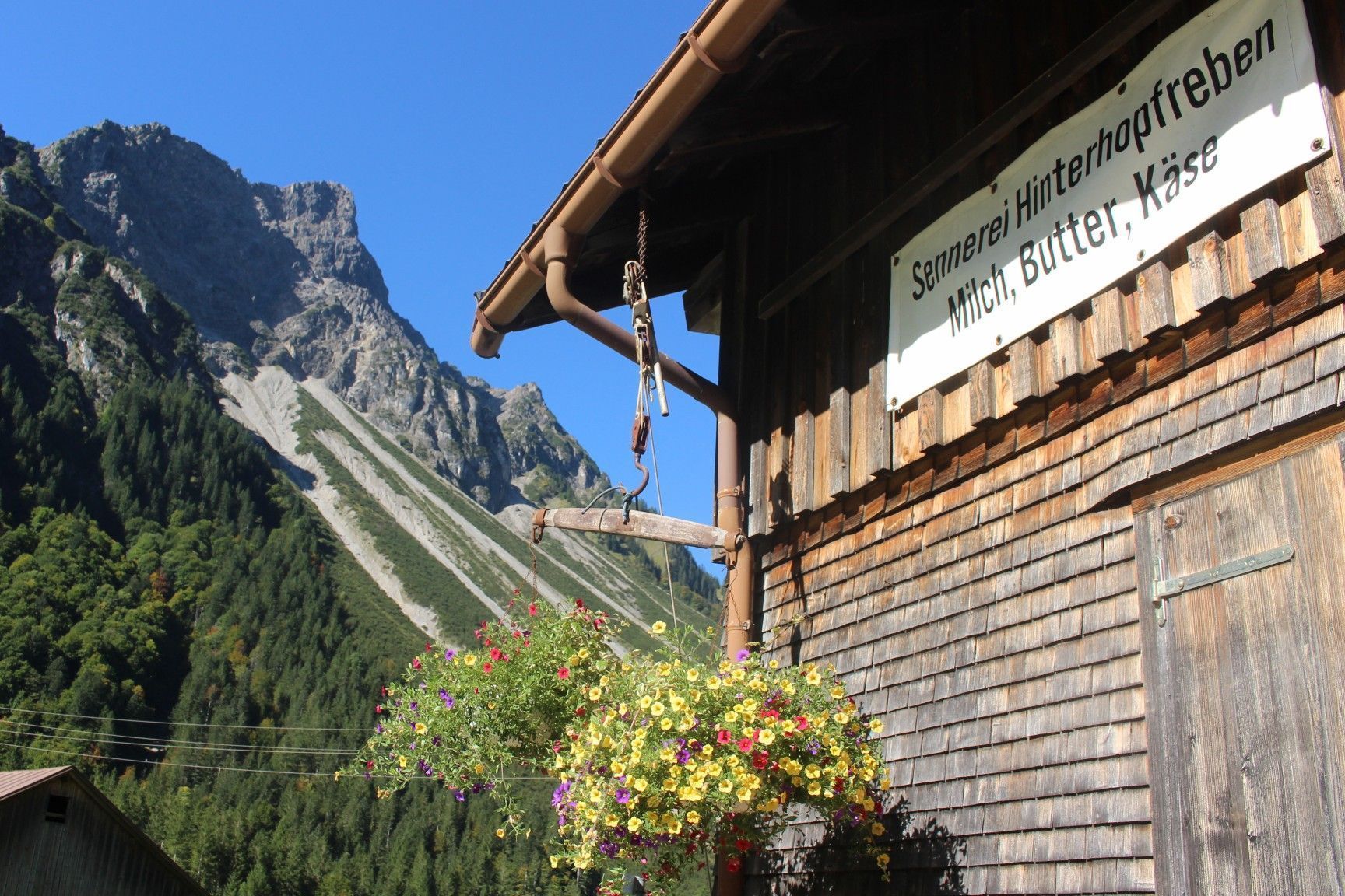 Die Alpsennerei im Vorsäß Hinterhopfreben ist eine Besonderheit in der Wälder „Alplandschaft“   
