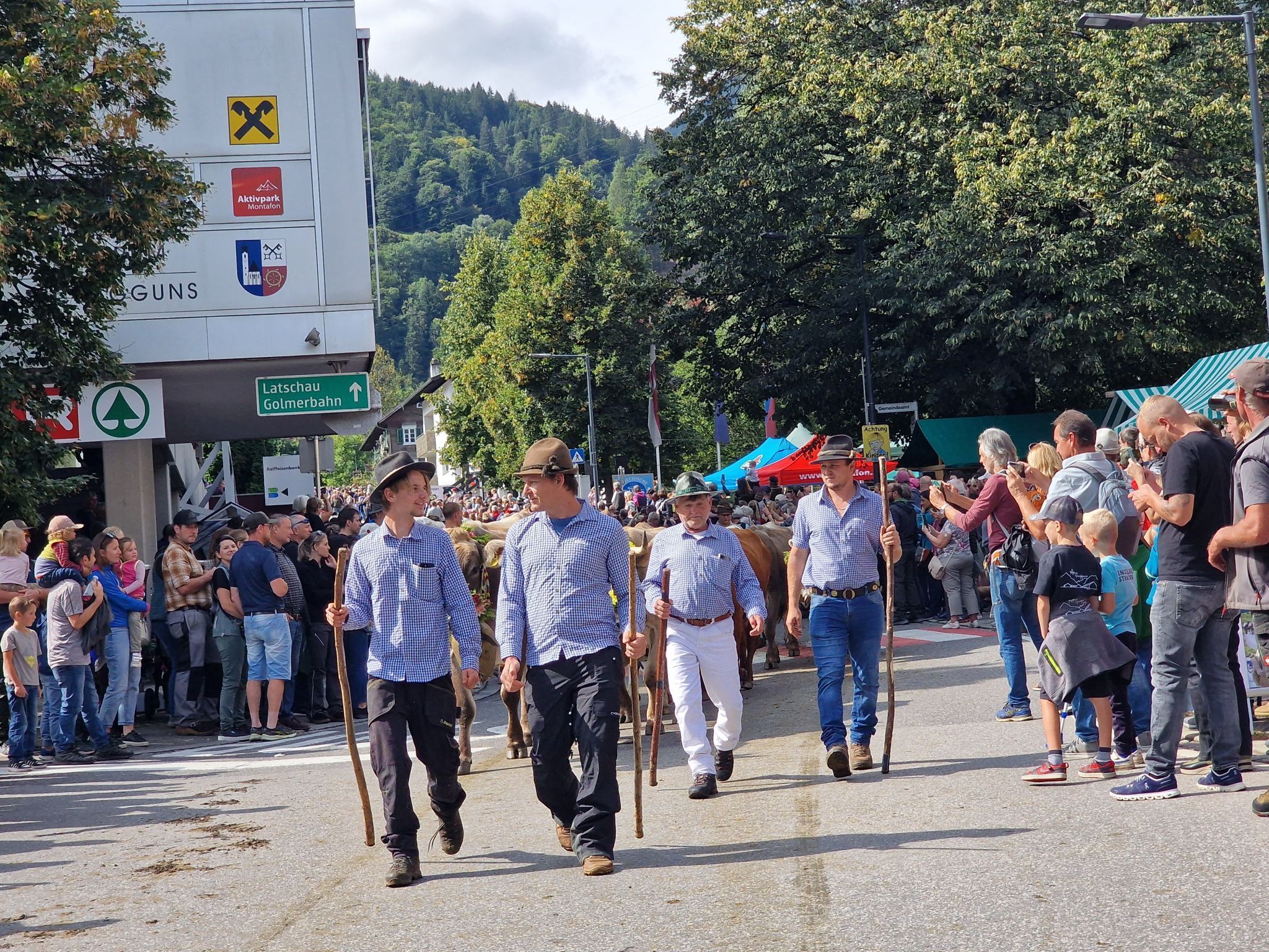 Impressionen von Alpabtrieb der vier Alpen in Tschagguns. (Bildergalerie)