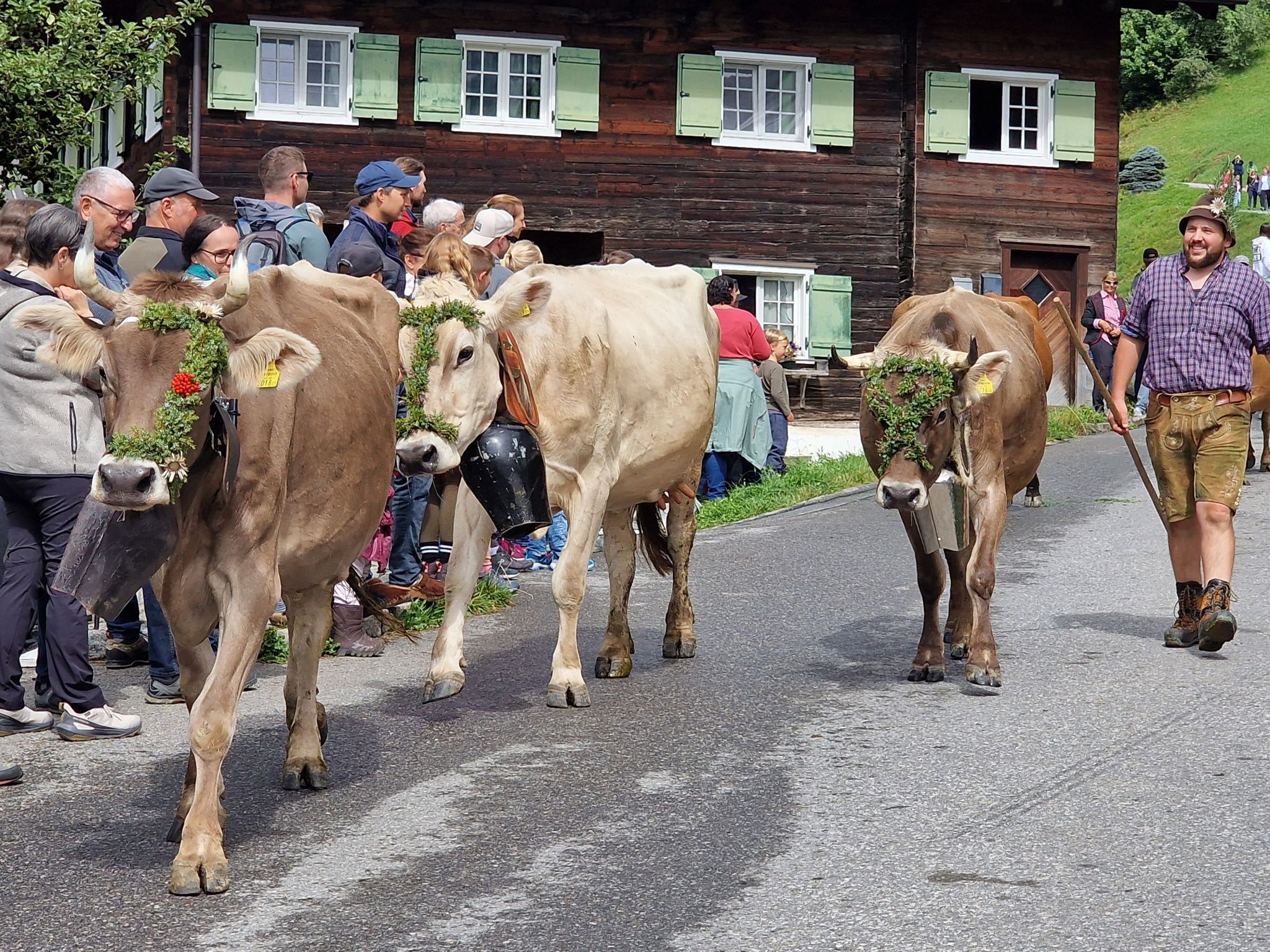 Alpabtrieb von der Alpe Latons ist ein freudiges Fest für das ganze Dorf. (Bildergalerie)