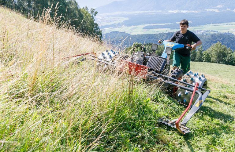 Pressekonferenz Berglandwirtschaft