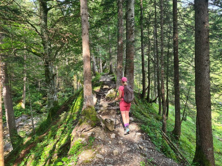 Untere Brüggele Alpe, Brandnertal, Alpserie