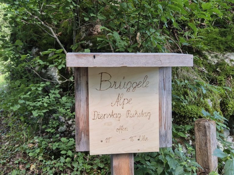 Untere Brüggele Alpe, Brandnertal, Alpserie