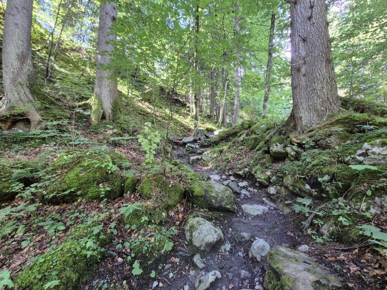 Untere Brüggele Alpe, Brandnertal, Alpserie